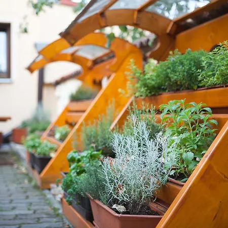 U Hromadov - V Sukromi * Rajecka Lesna