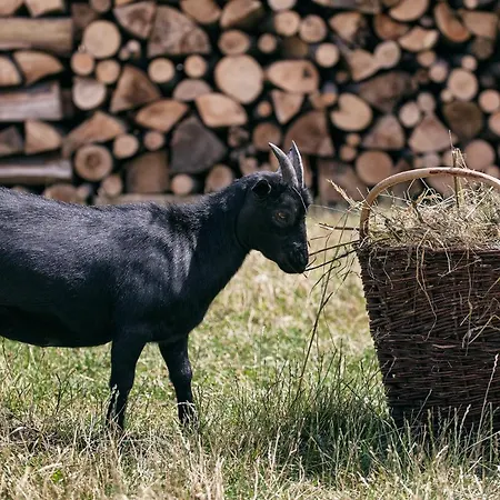 Kro U Hromadov - V Sukromi *