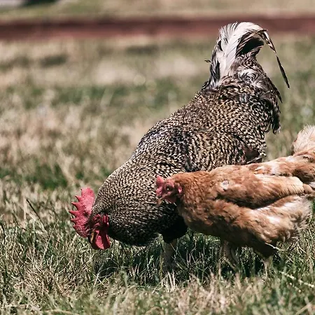 U Hromadov - V Sukromi Rajecka Lesna