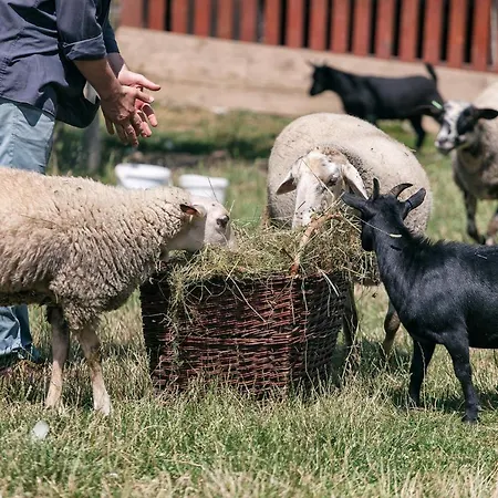 U Hromadov - V Sukromi