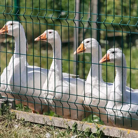 Penzion U Hromadov - V Sukromi